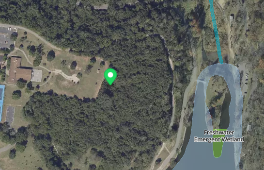 NWI wetlands map showing wetland boundaries, types, and buffer zones for environmental permitting assessment